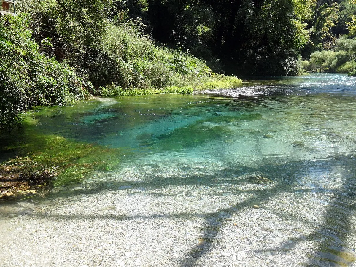 Skaidrus iš Blue Eye šaltinio tekantis vanduo ir medžiais apaugę krantai